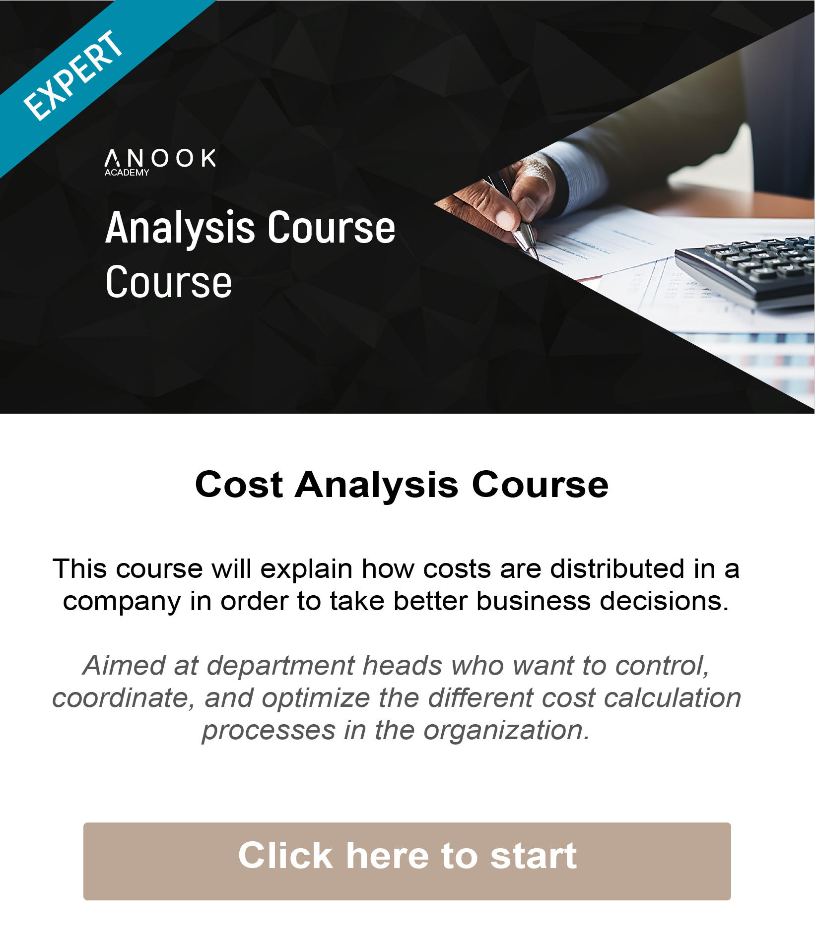 anal&iacute;tica de costes