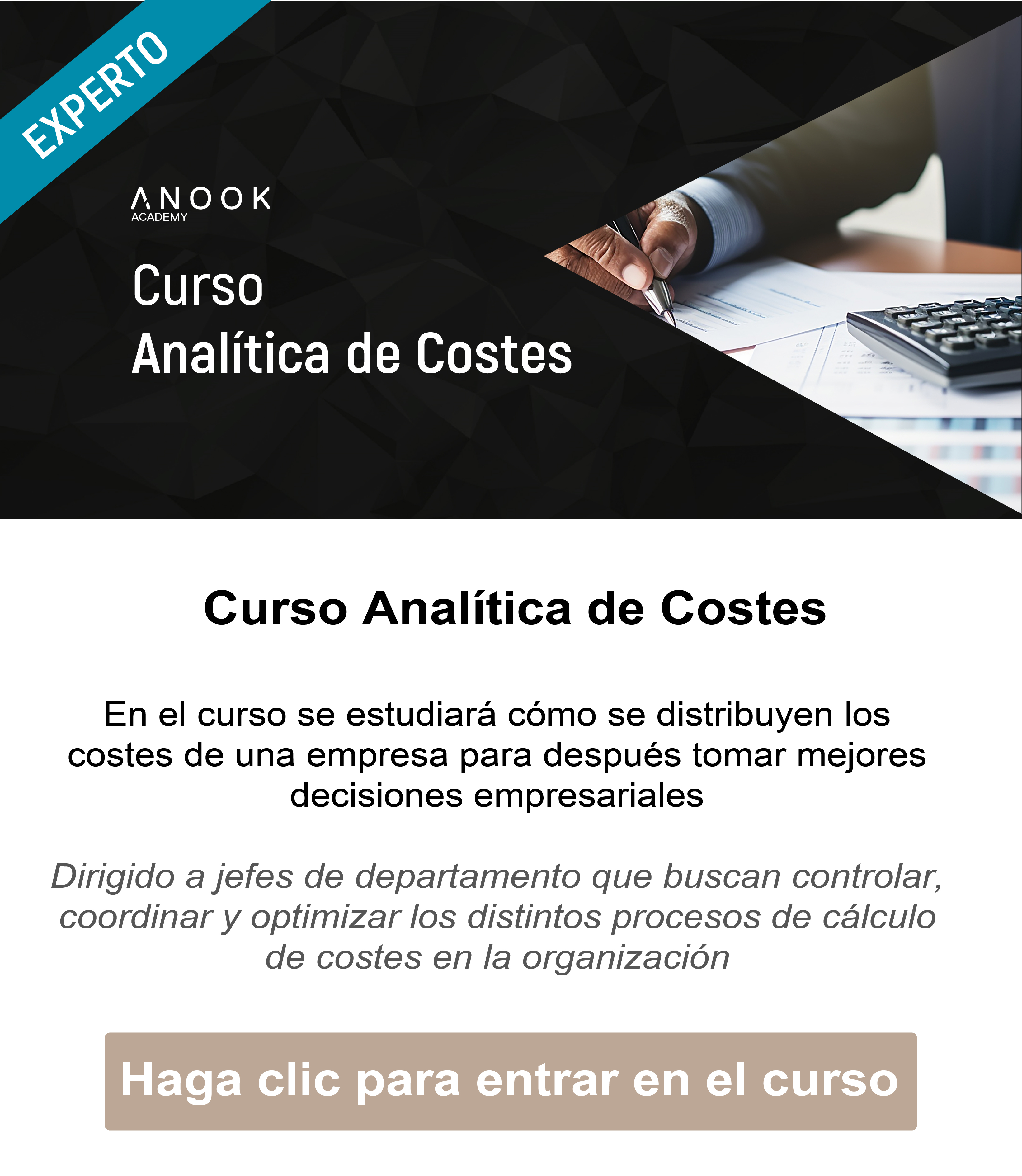 anal&iacute;tica de costes
